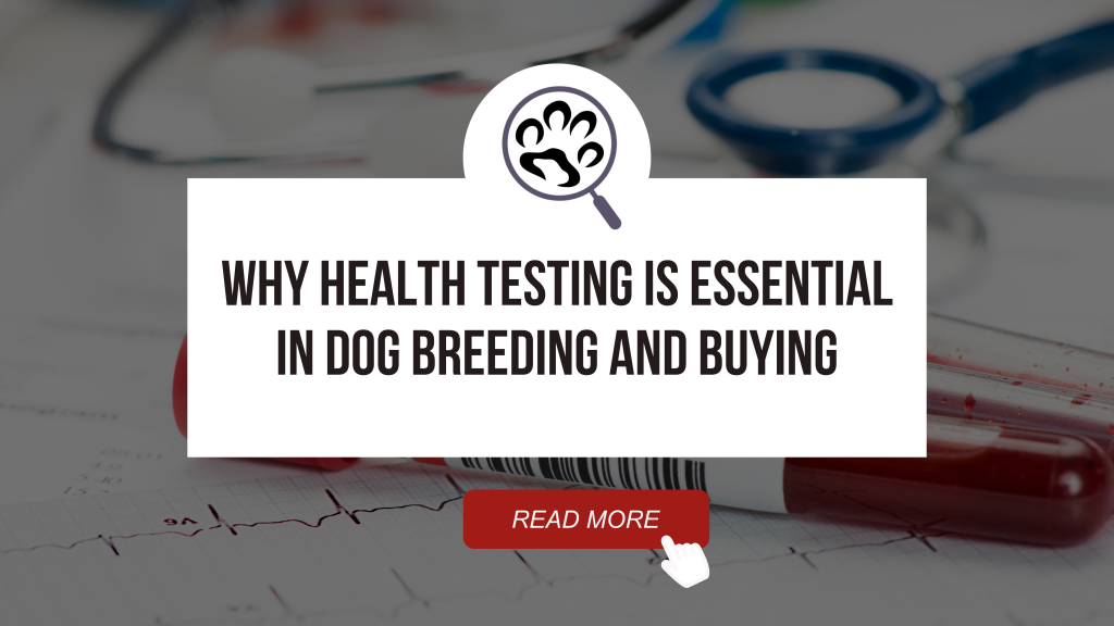 Dogs Getting Tested Why Health Testing is Essential in Dog Breeding and Buying - Find My K9 ...